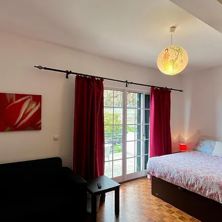 Apartment Zainali Funchal (Madeira)